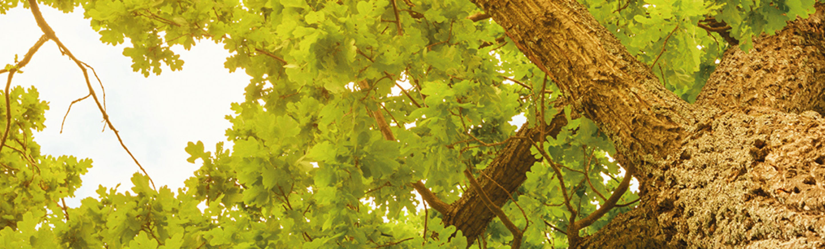 pattern gamme inspiration